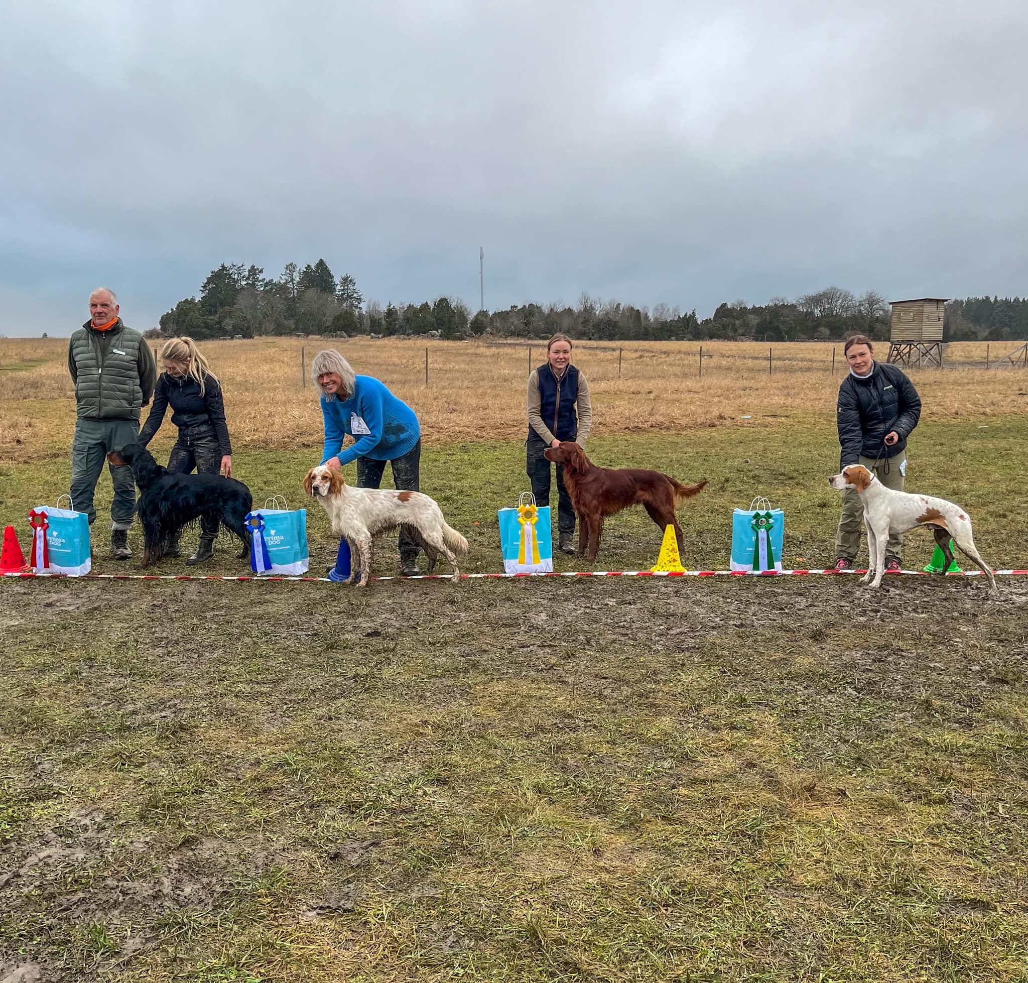 Resultat – Utställning Långtora 23/2 2025