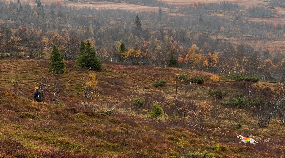 Regelrevideringsförslag från MFKs styrelse till FA.