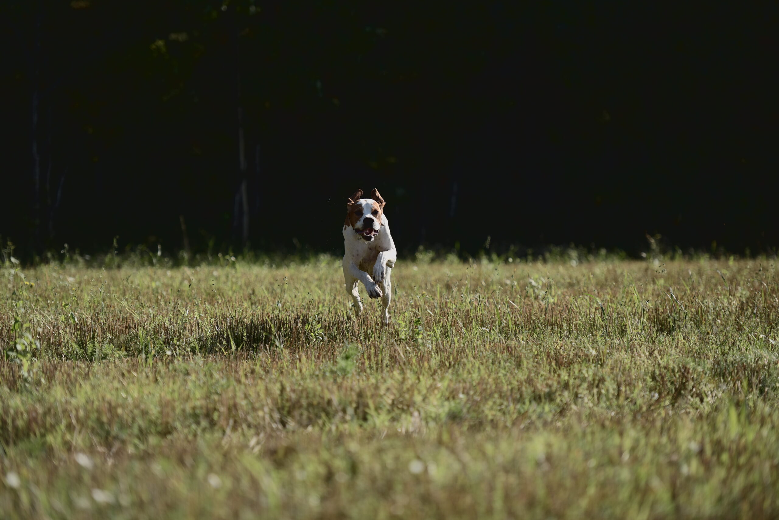 Årsmöte 23/2 2025 på Långtora