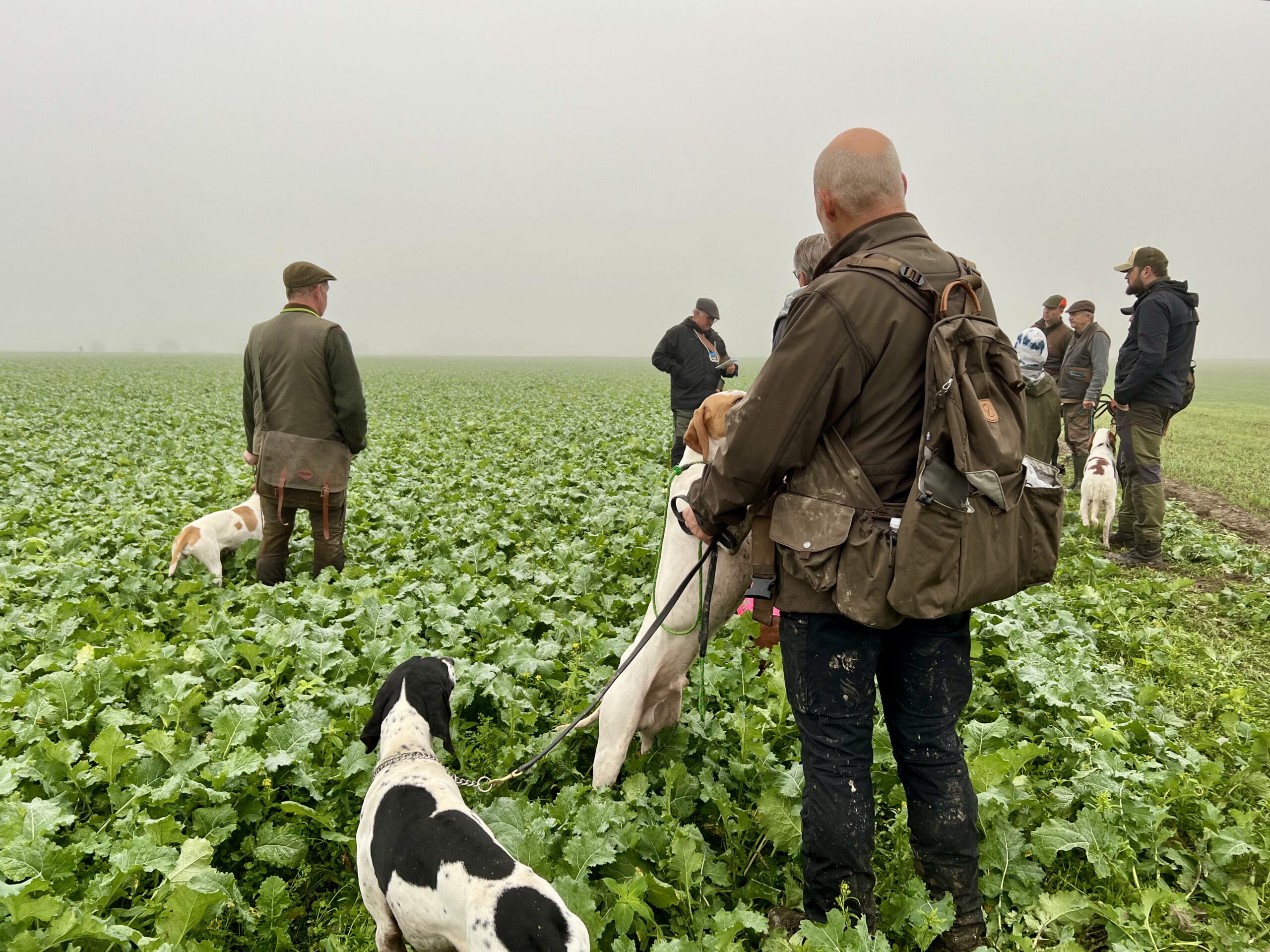 Inbjudan – Fältprov Trossnäs 12-13 April