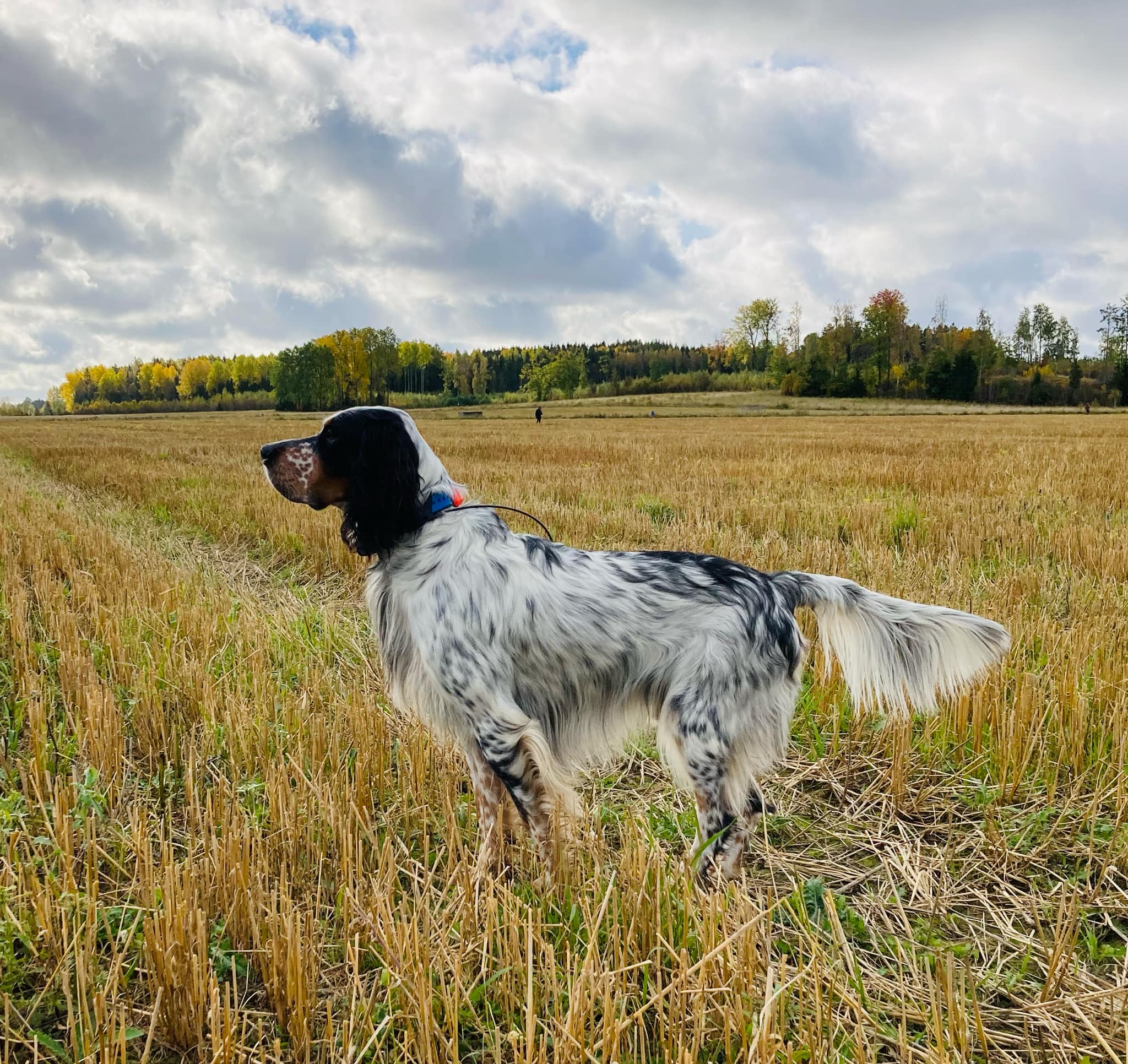 Handlingar från Årsmöte 2025-02-23