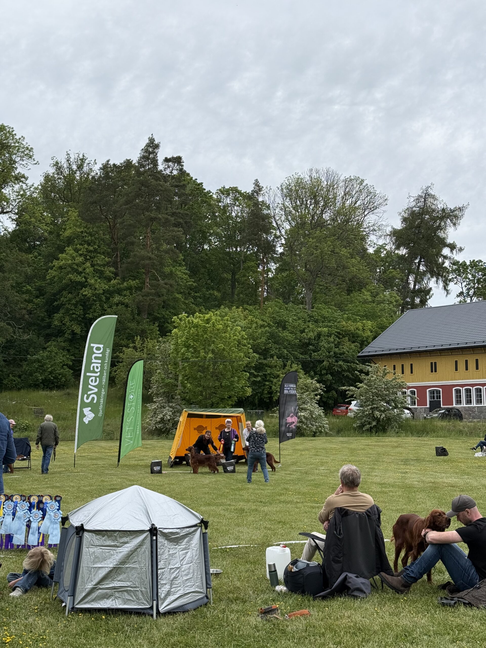 Inbjudan Inofficiell utställning – Hjortsberga 5 Juli