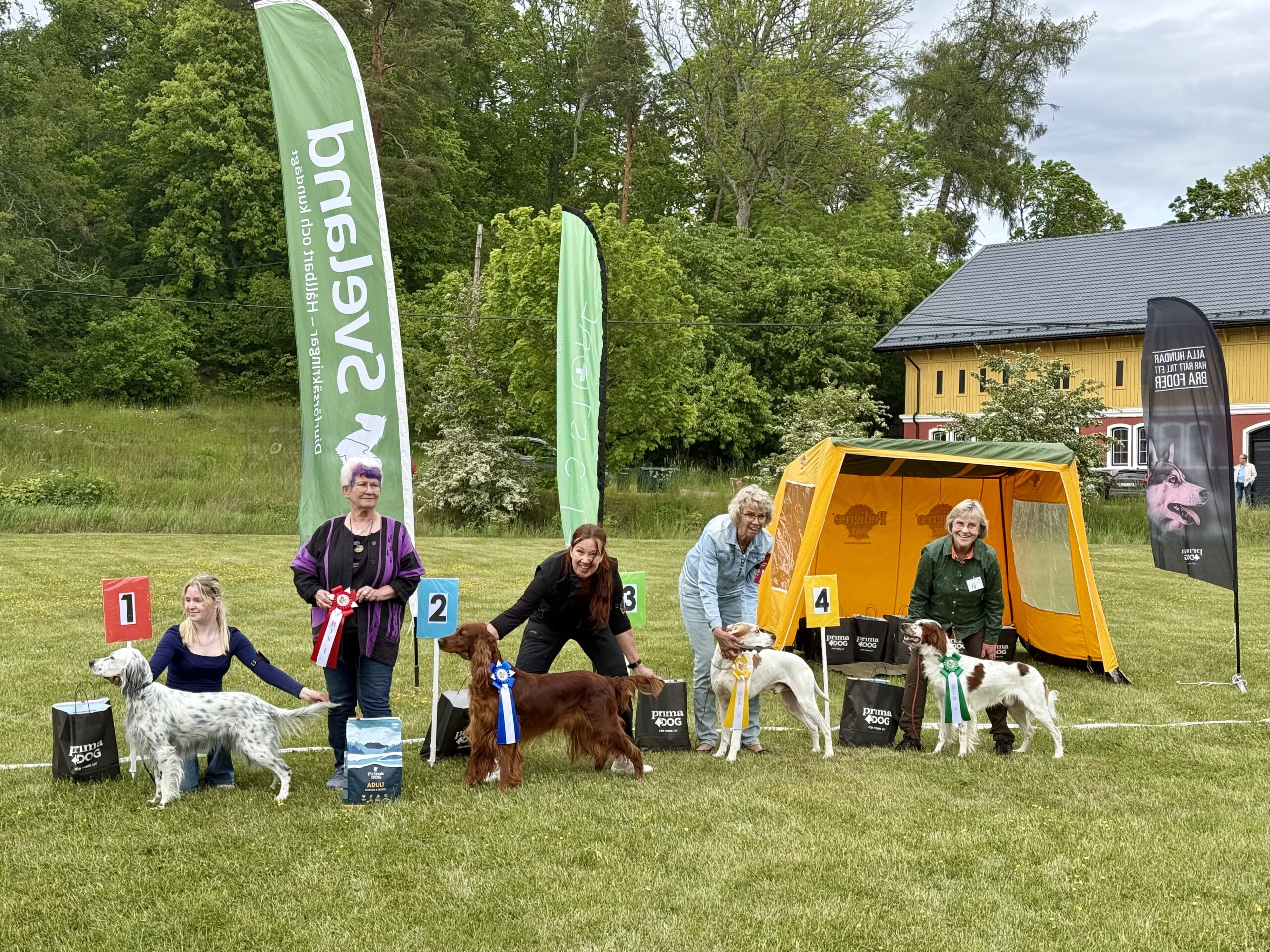 Resultat Officiell Utställning – Hjortsberga 8 juni 2025