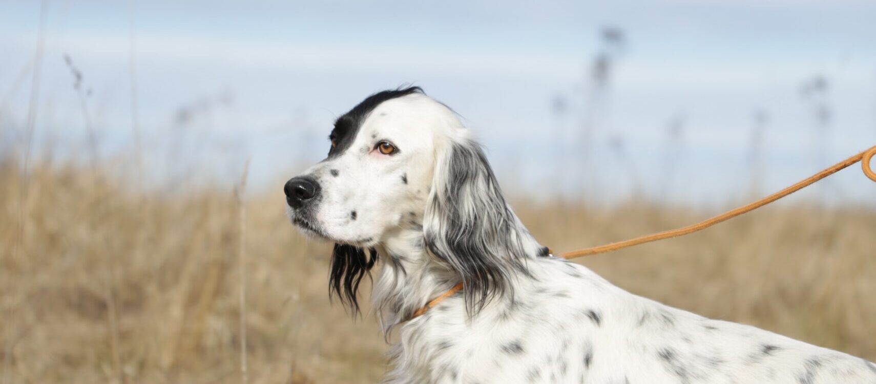 Stadga och uppflogsträning 9 maj