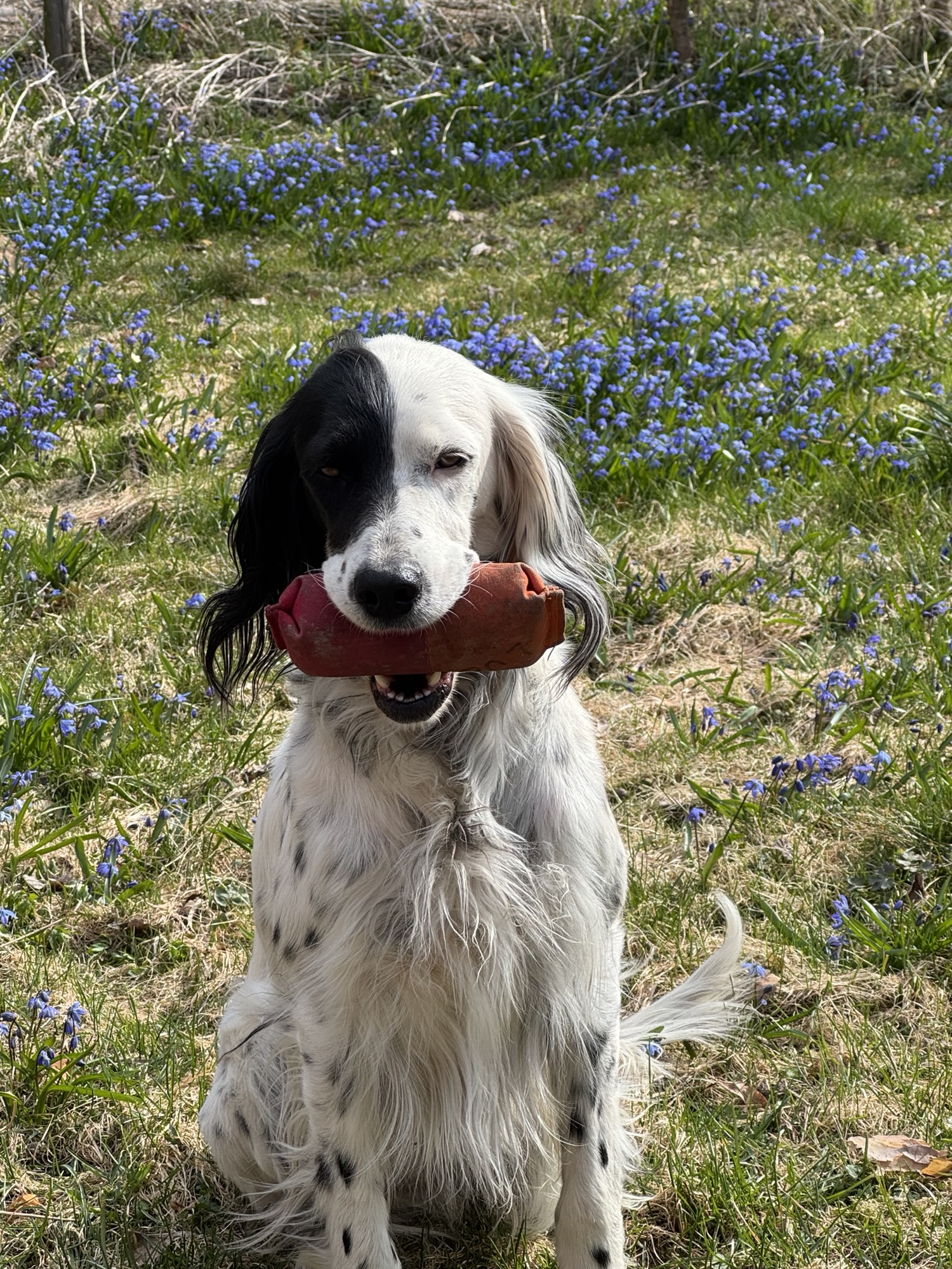 Lokal träningsgrupp – Sörmland