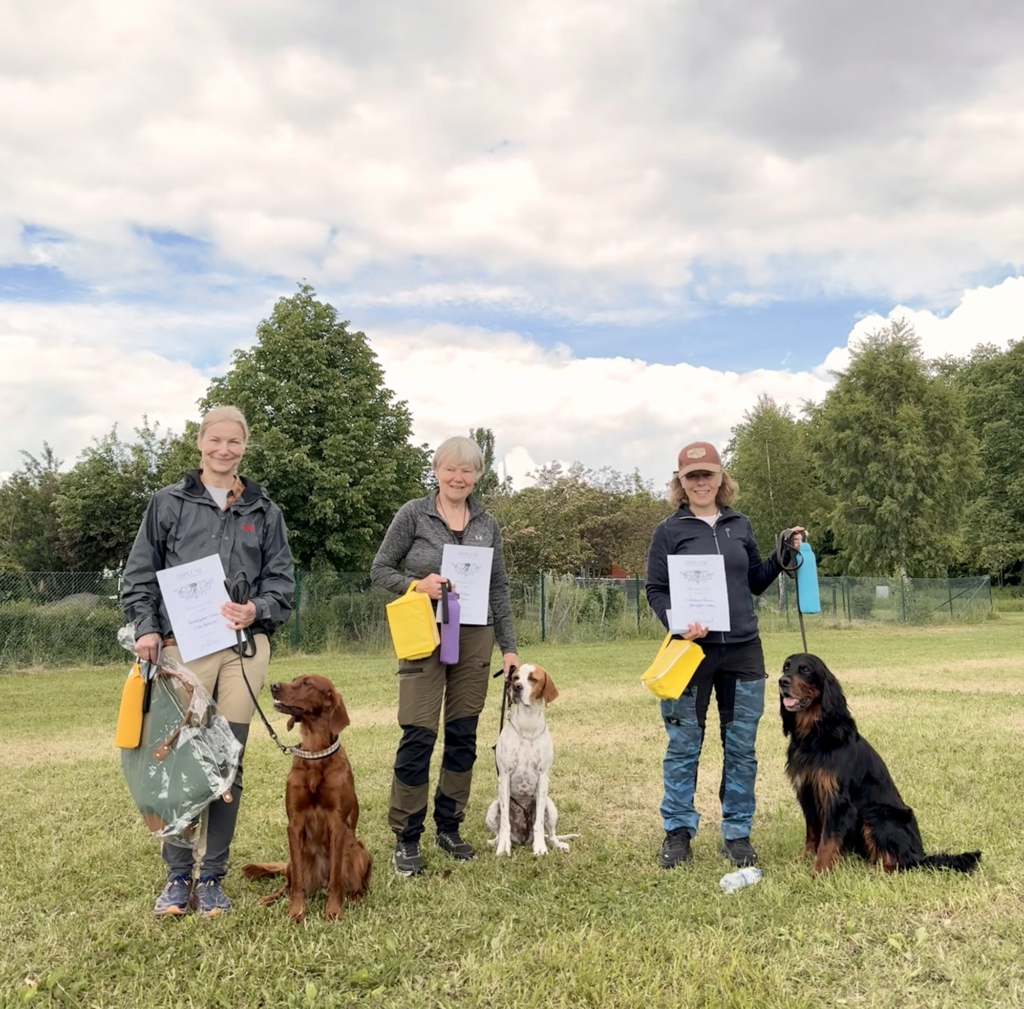 Best in Weekend – KM Apport 2026